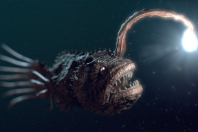 Ковалкин: «Когда знаешь о перспективе, будешь выполнять самый придурковатый приказ. Скажут шапками вычерпать Свислочь, будут вычерпывать»