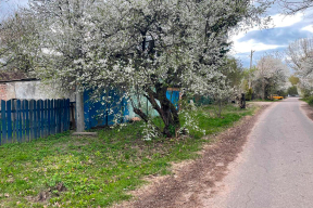 Как каменные джунгли захватывают Минск