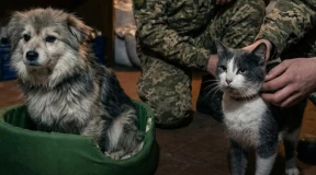 Дневник войны, глава 299. «Доброе! Что, снова «утренняя пробежка» всем районом?»