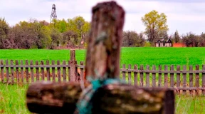 «Выходит, будто у нас все прекрасно»